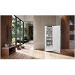 Congelator Independent  Liebherr FNb 505i, Clasa Valorica Comfort, Culoare steel, Clasa de eficienta energetica B, Înălțime 165.5 cm, Volum total 238 l, Nr. Sertare in congelator 6, Emisii de zgomot acustic 33 dB, Greutate  68.5 kg - imagine 5