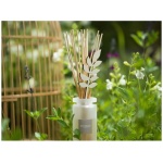 Difuzor Parfum Summer Jasmine 100ml  - Esteban Paris - imagine 2